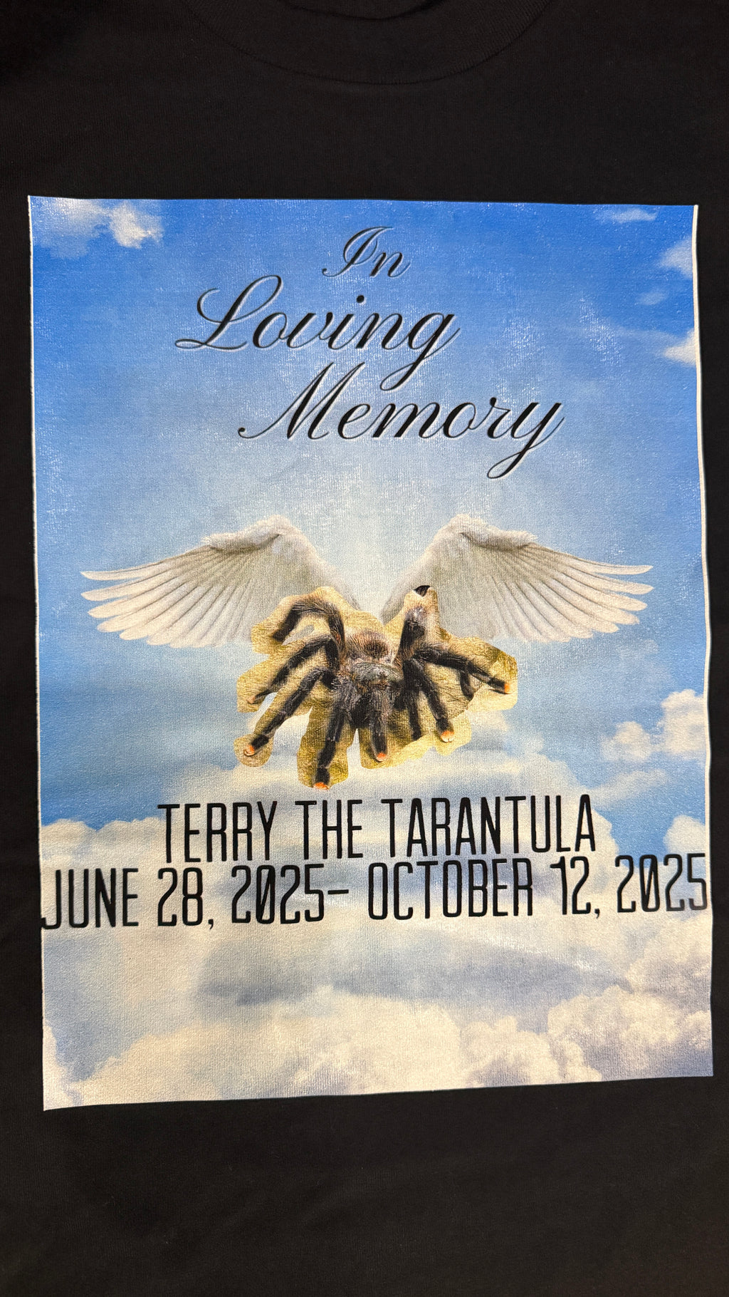 TERRY OBITUARY HOODIE