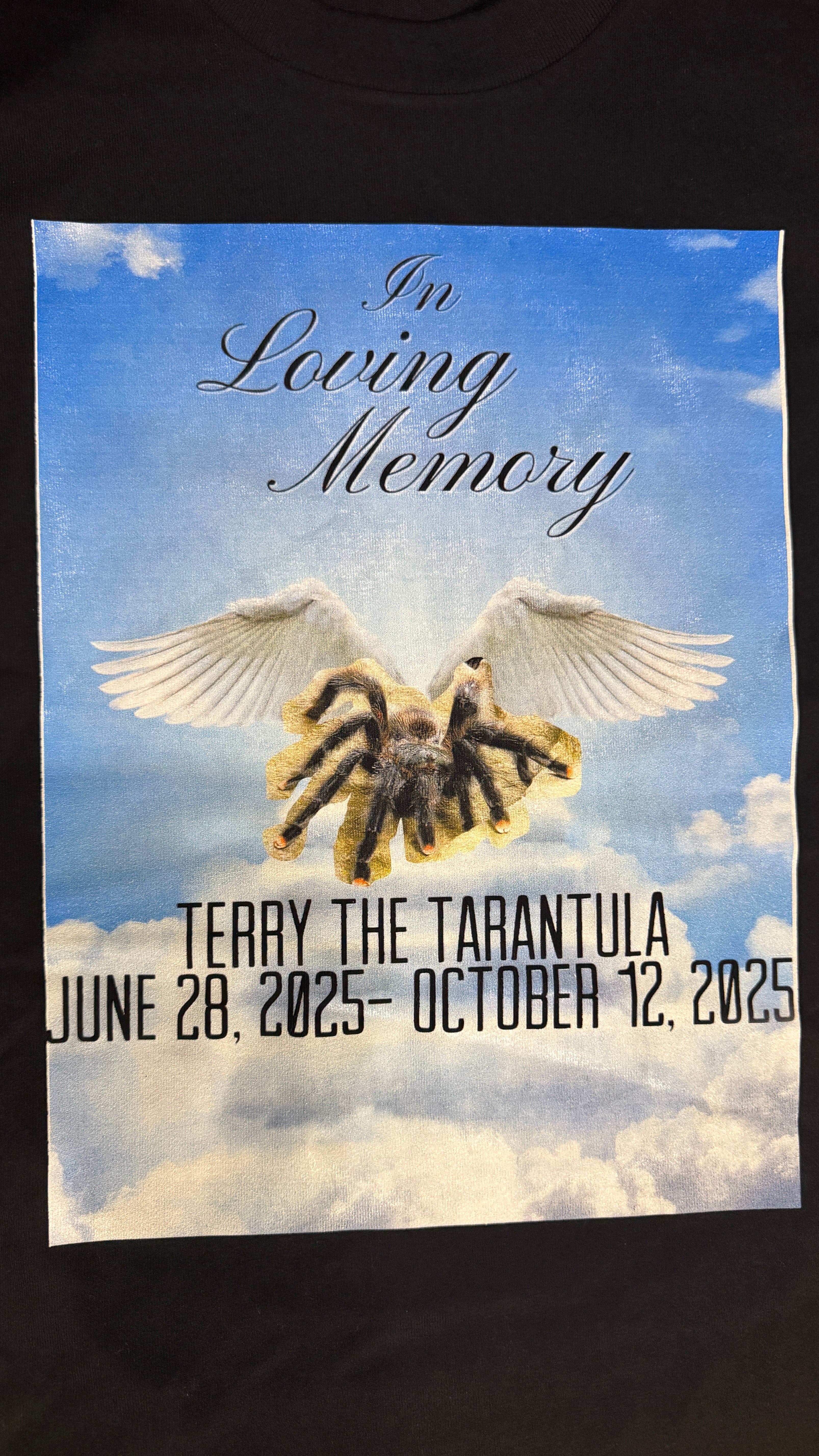 TERRY OBITUARY HOODIE